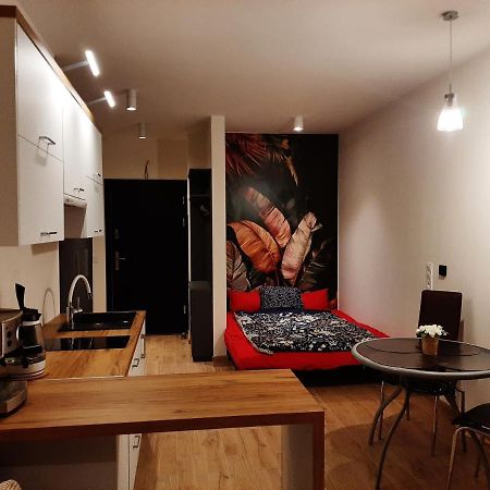 Apartament Pod Szyndzielnia, Debowiec Bílsko-Bělá Exteriér fotografie