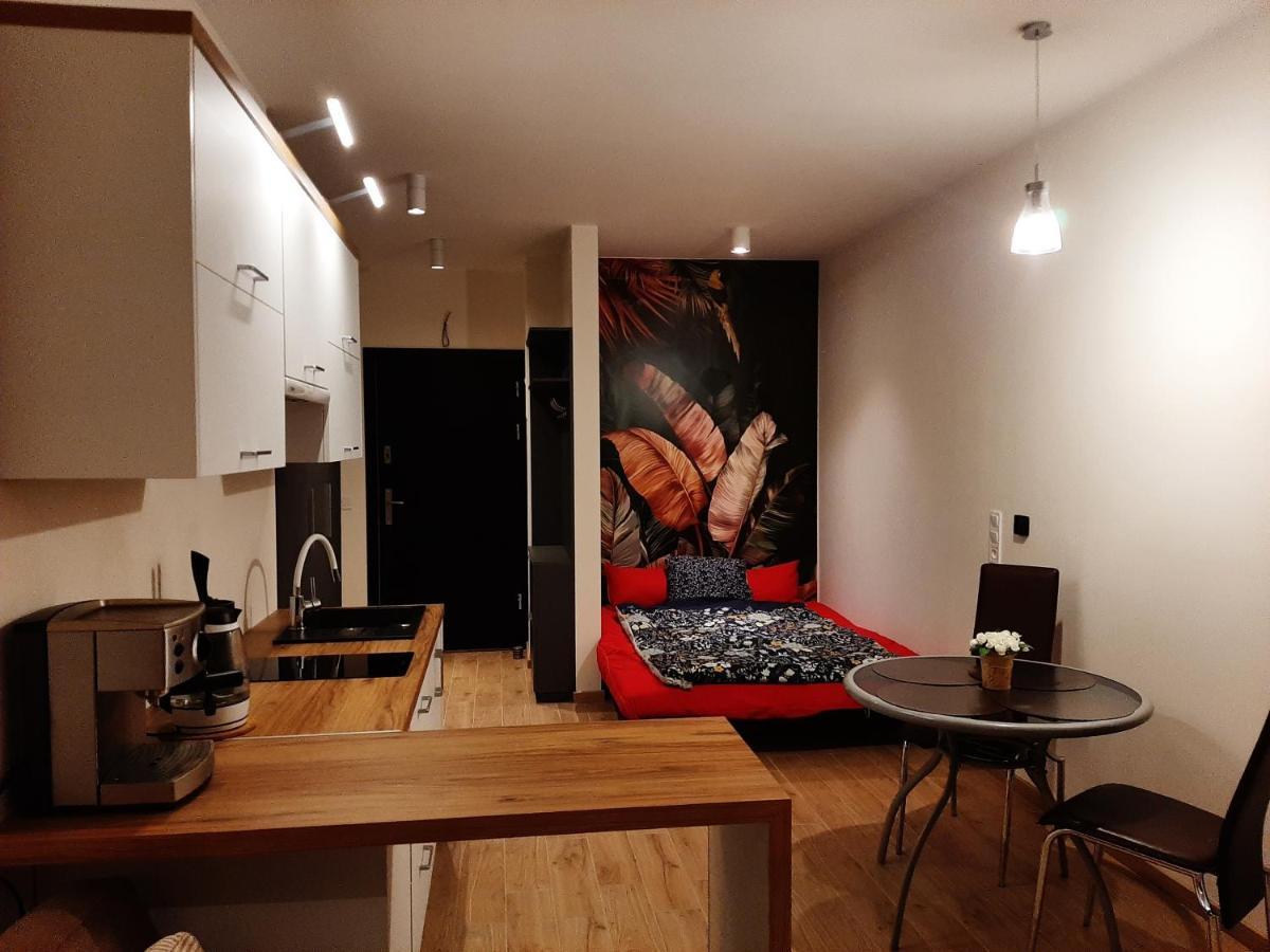 Apartament Pod Szyndzielnia, Debowiec Bílsko-Bělá Exteriér fotografie