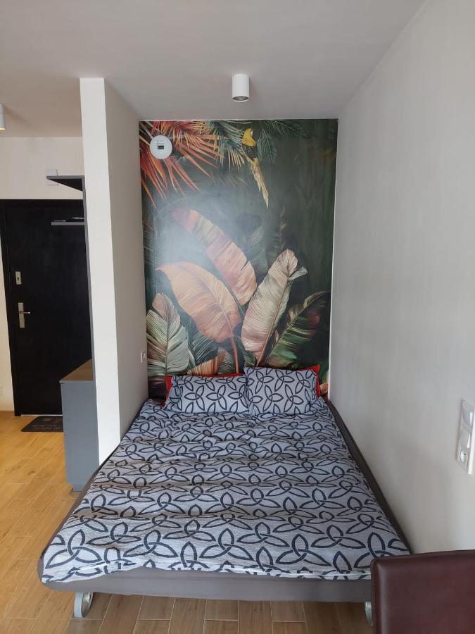 Apartament Pod Szyndzielnia, Debowiec Bílsko-Bělá Exteriér fotografie